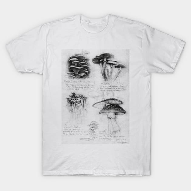 Mushrooms T-Shirt by mikekoubou